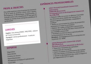 Comment Indiquer Habillement Le Niveau De Langue Sur Un Cv